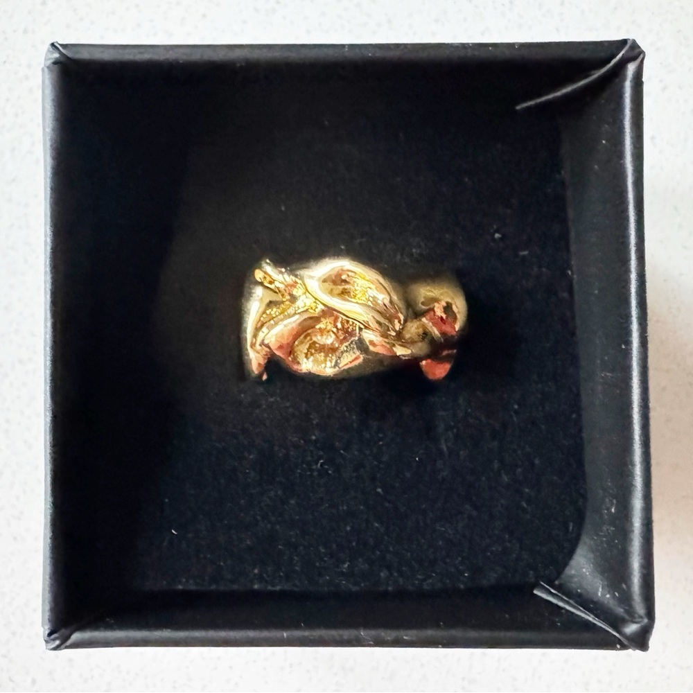 NWT Jennifer Fisher Gold Ring